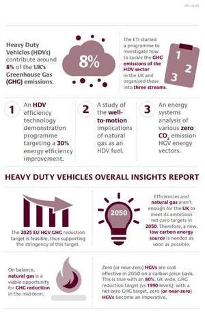 Overall Insights Infographic